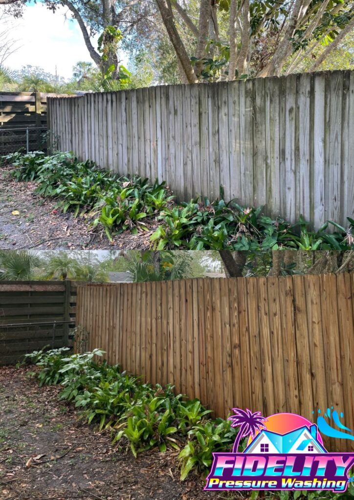 Wood Fence Cleaning